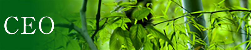 CEO